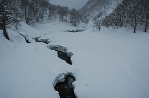 魚野川　秋山郷