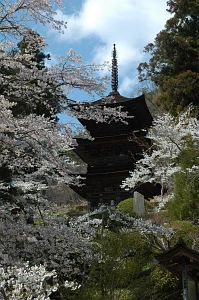 青木村　大法寺4/25-1