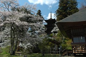 青木村　大法寺4/25-2