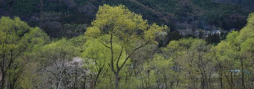 梓川河畔より新緑と山里