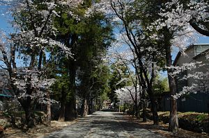 恵林寺参道