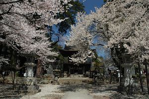 三門とサクラ　恵林寺　2006　4/6-1