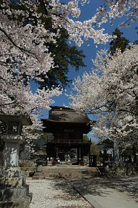 三門とサクラ　恵林寺4/6-2