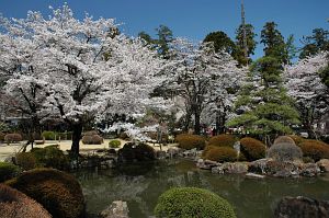 庭園とサクラ　恵林寺4/6-2