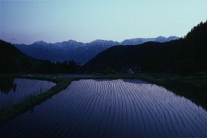 青鬼集落　水田と北アルプス002