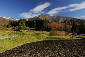 白馬村　青鬼　水田と名残の紅葉11/13