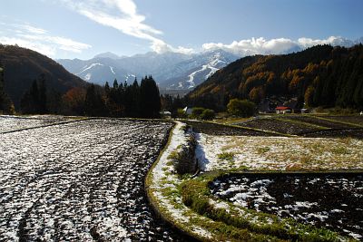 白馬村　青鬼　新雪の水田・青鬼集落・名残の紅葉・北アルプス11/13