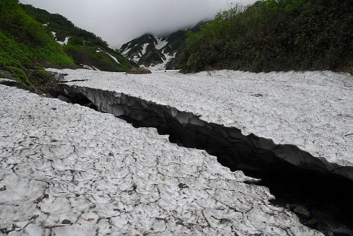 白馬村　白馬尻　大雪渓末端7/6