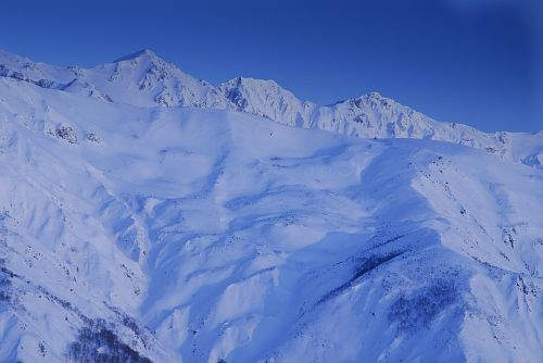 白馬村　遠見尾根　朝焼けを待つ白馬三山2/5