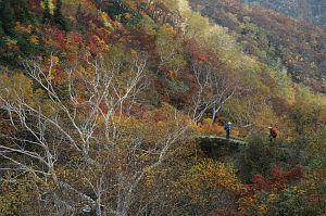 hakuba_tomione_dakekanba006_n.jpg