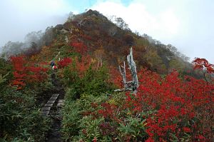 hakuba_tomione_koyo004_n.jpg