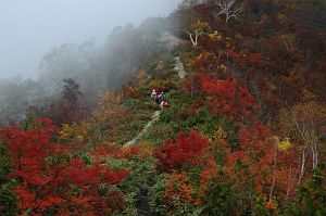 hakuba_tomione_koyo005_n.jpg