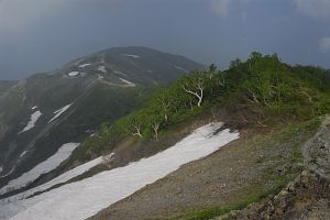 白馬村　八方尾根　見下ろした八方尾根と八方池6/29