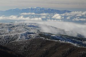 鉢伏山8合目より　霧氷に包まれた高ボッチ高原、後方は中央アルプス12/11