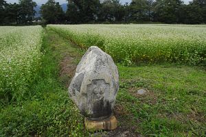 安曇野市穂高北穂高　島新田　道祖神とソバ9/11-1