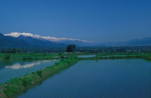 穂高　水田001