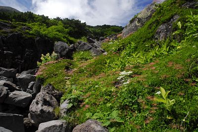 松本市安曇　宝徳霊神より　チングルマ他9/2-7