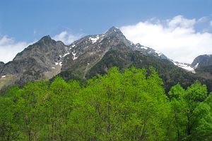 上高地　小梨平と明神の間　明神岳5/29