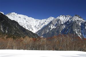 上高地　梓川畔　穂高連峰とケショウヤナギ1/22