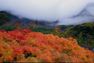 涸沢　紅葉-4