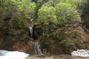 長野市鬼無里奥裾花渓谷　滝・新緑5/12