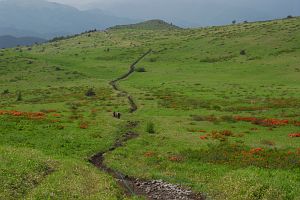 霧ヶ峰　蝶々深山山頂より　遊歩道6/27