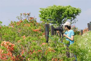 霧ヶ峰　車山北側　一眼レフの女性6/27