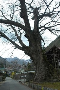 上田市丸子　霊泉寺4/25-2