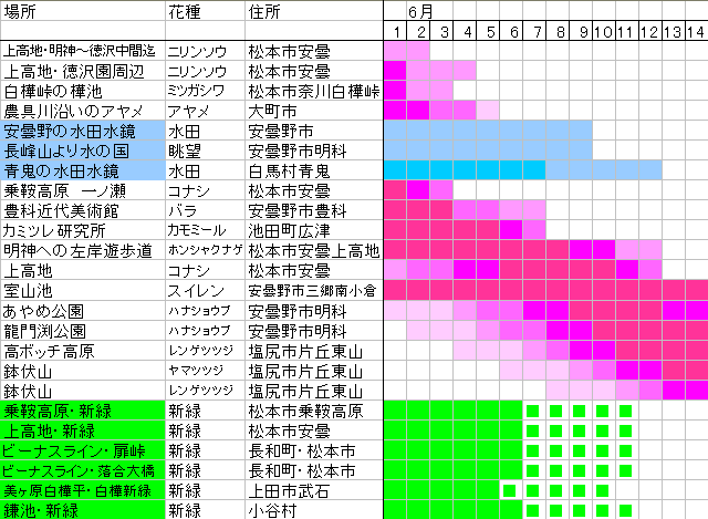 開花予報090601