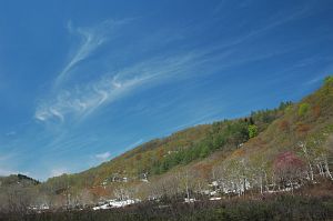 妙高村斑尾高原　沼の原湿原　空5/15-3