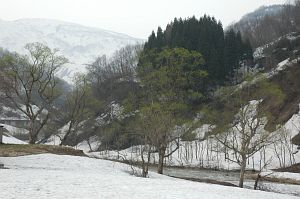 新緑と残雪の山