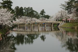 内堀とサクラ　高田公園4/18-7