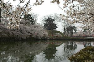 サクラと城（内堀）　高田公園　4/18-1