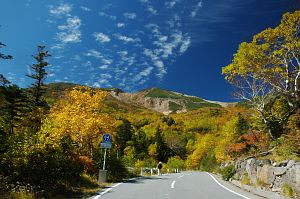 乗鞍岳（肩の小屋口～位ヶ原）　紅葉-8