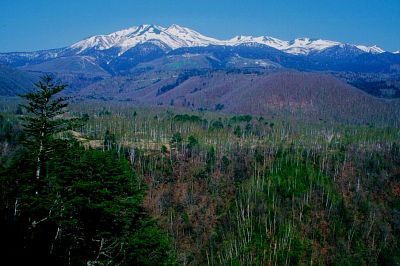 白樺峠より乗鞍岳