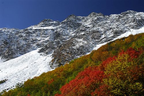 紅葉と新雪の奥穂高岳　10/9