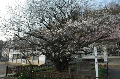 須坂市南原町　興国寺4/24-2