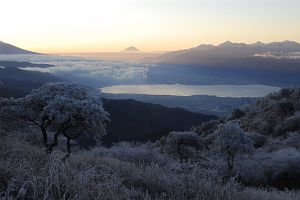 高ボッチ高原より　早朝の諏訪湖と富士山、右手が南アルプス、手前は霧氷に包まれた草木12/11-2