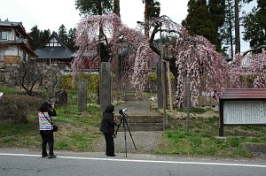 立科町　光徳寺4/23-3