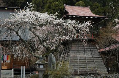 立科町　津金寺　4/23-1