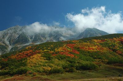 tateyama_koyo002_g.jpg