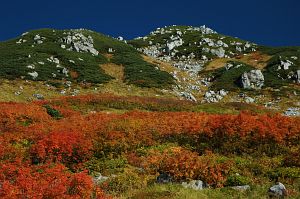 tateyama_koyo003_g.jpg