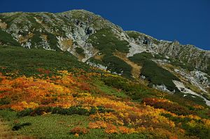 tateyama_raityouzawa001_n.jpg