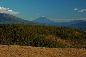 tinosi_bi-nasurain_kurumayama_koyo_fujisan_n.jpg