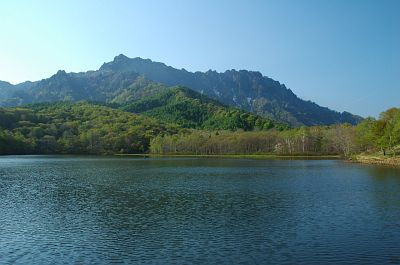 長野市戸隠　鏡池　新緑5/25-1