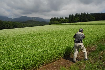 長野市戸隠　そばの花団地　ソバとカメラマン8/31-3