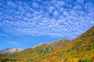 栂池自然園　紅葉-2