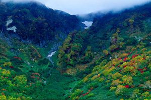 栂池自然園　紅葉-10