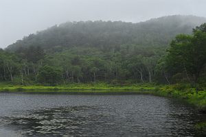 山ノ内町　志賀高原　一沼6/25