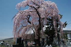 山ノ内町宇木4/24